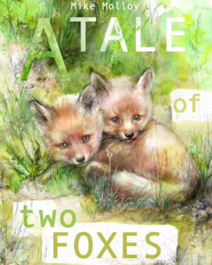 A Tale of Two Foxes (Not Personalised)